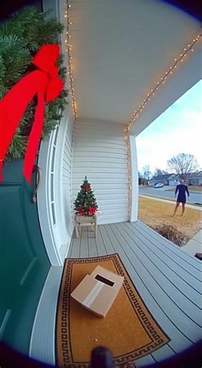 🎄😱 wig pops on christmas (Caught on Ring Camera)