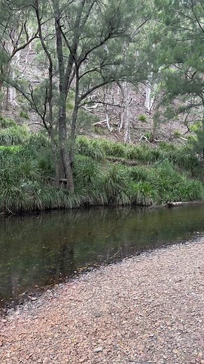 MIYOO Mini Retro Gaming Console Review