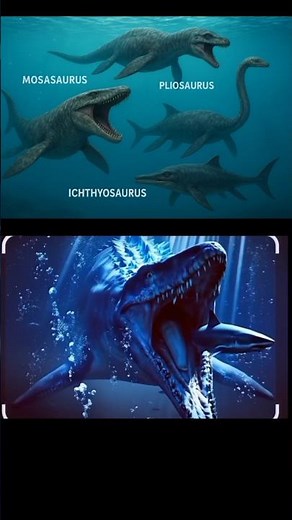 water dinasour types!