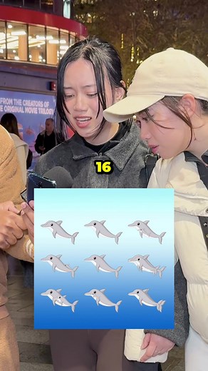How Many Dolphins Trivia Questions and Facts