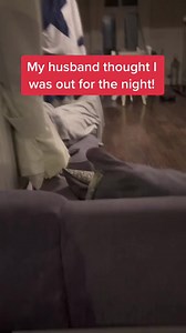 The saucepan 🤣🤣 #thesteveos #prank #joke #scare #scareprank #husbandreactions #uk #britishhumour #viral #funny #banter #windup | Stevens Family