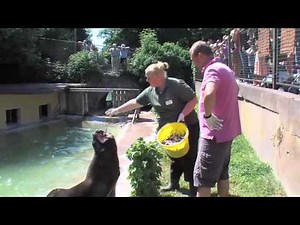 Adult Zoo Keeper Experience for the Day