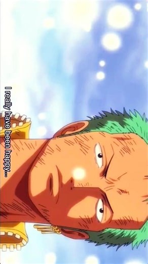 Why you are crying It's just a normal ship#onepiece #luffy#zoro #sanji #ussop #emotional #sad #fyp