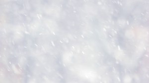 Winter Forest Blur Background Close Up Of Stock Footage SBV-328929975 - Storyblocks