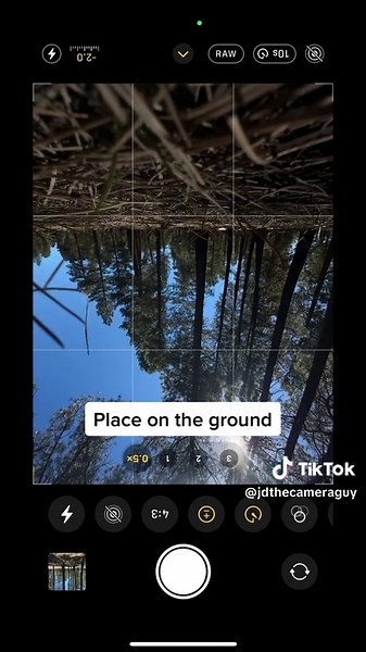 Photography Tips for Taking Better iPhone Photos