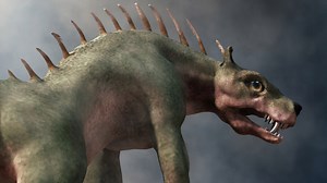 'Chupacabra' Shot, Killed And Filmed By A Group Of Hunters In Brazil