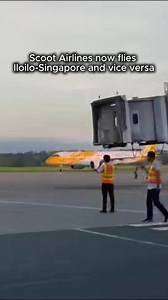 LOOK: Scoot airlines now flies Iloilo - Singapore and vice versa. Inaugural flight TR374 landed in Iloilo at 5:35am after departing Changi airport at 2:00am. Video by Iloilo International Airport. | IloiloToday