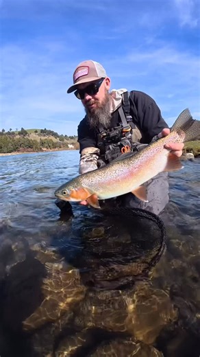Dyl Eyeington on Instagram: "Sweet bow on the sage ESN 10ft 4wt and esn reel with rio euro line euro bro getting deep in the colder months 👌🏻🖤 @flytackle_nz"