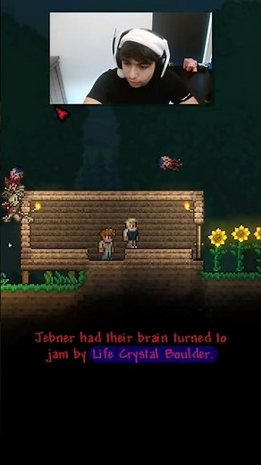 This Terraria Mod is Pure Chaos