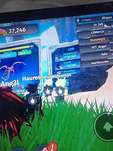 Perdi meu Magnacetus no Roblox: Uma experiência frustrante