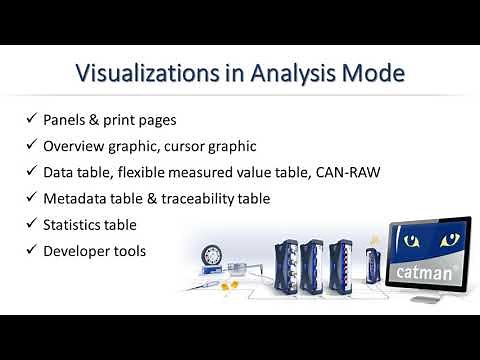 Visualization in catman Analysis Mode