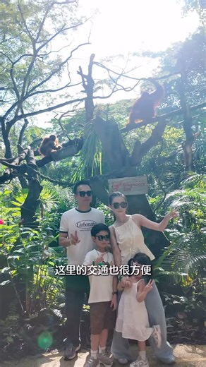 S H E R Y N 🐰 on Instagram: "一家人的美好，就是一起探索世界。 这次带孩子来到 新加坡动物园 + 新开幕的 Curiosity Cove，一整天都是孩子的笑声。 从早上的开放式展区、轻松的 Tram Ride，到近距离看长颈鹿、大象、热带雨林动物……孩子每一站都 “哇” 个不停。 中午还看了精彩的 Into The Wild 主题分享会，大小朋友都看得超投入。 午休后，我们换上 grip socks，走进 Curiosity Cove 的奇妙世界。 Wetlands、Forestlands、Grasslands 到 Drylands，每个区域都让孩子边玩边学，像开启一场小小冒险。 最喜欢的，是一家人一起探索、一起陪伴的时光。 忙碌的生活里，这样的一天，真的很珍贵。 带孩子来新加坡动物园 + Curiosity Cove，一起创造只属于你们的家庭回忆。 如果你打算带家人一起到 Mandai Wildlife Reserve 玩，不妨入手 Destination Pass，一次玩更多景点，最多还能省下 60%。最新游客优惠记得到 mandai.com 看看哦!