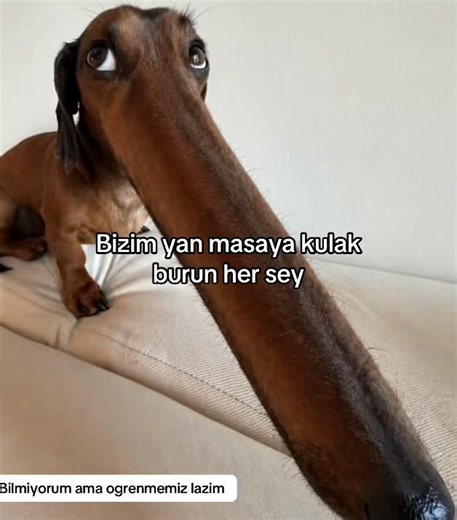Kulak Burun Ameliyatı Sonrası Yan Yatılır mı?