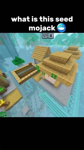 Minecraft Crazy Seed