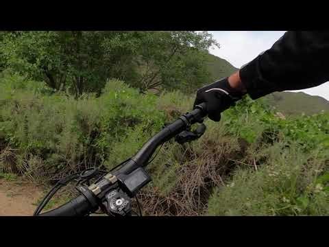 Stair Steps Left to Hall Pass Fun! Aliso Woods - 2/15/26