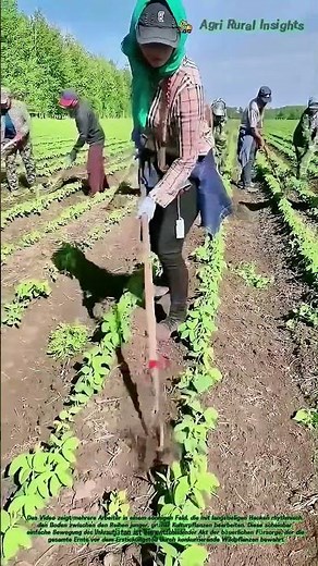🌱 Ruhe vor dem Sturm: Wie die Hacke mit einem einzigen Zug die Ernte befreit