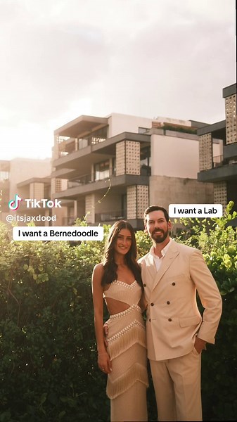 Discover the Joy of Bernedoodle Puppies