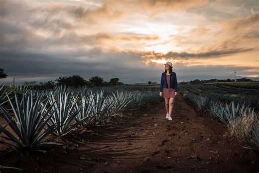 Tequila Express, un viaje en tren que se convierte en tradición - México Desconocido