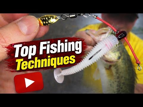 🎣 Top Fishing Techniques That Actually Catch Fish!