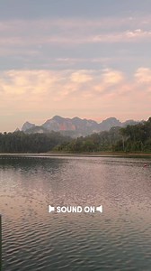 🐒🌿 Wake up to the sounds of the jungle! Our guest captured this amazing video of gibbons calling in the morning at our lake camp in the heart of Cheow Larn Lake. #ElephantHills #KhaoSok #GibbonCall #CheowLarnLake #Thailand 📷 Thanks for sharing this amazing video IG: wherewewanda | Elephant Hills