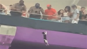 ‘We're Gonna Have to Catch That Thing': Man Describes Rescue of Falling Cat at UM Game