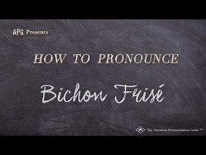 How to Pronounce Bichon Frisé (Examples of Bichon Frisé Pronunciation)