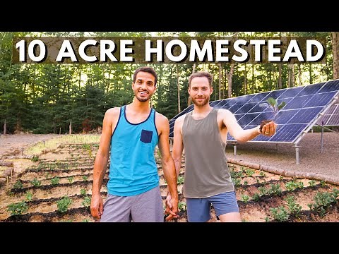 ABANDONED LAND to 10 ACRE HOMESTEAD (from scratch)