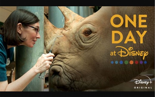 迪士尼的一天 1080P中英文双语字幕 One Day at Disney