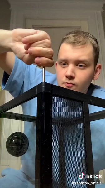 This REPTIZOO 10 Gallon Reptile Terrarium which can be assembled in 5 minutes is perfect for a first-time small reptile parent!🐢🦎🐸Unboxing & Installation video credit to @ nagornyy.n🛒:https://tinyurl.com/5f68a4f9#vivarium #terrarium #bioactiveenclosure #bioactive #bioactivevivarium #reptiles #lizard #terrarium #foryou #frog #geckolove #turtles #spider