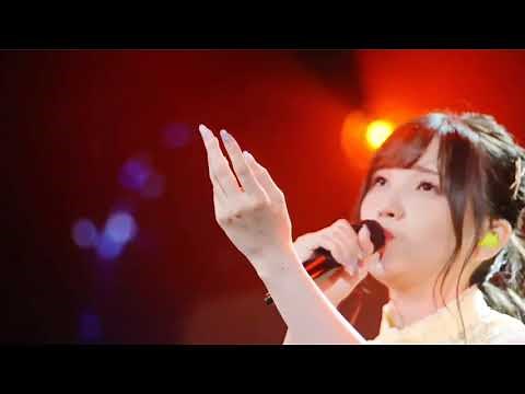 Tiny Light LIVE - Akari Kito