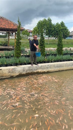 Yuli humaniis | Dari semua moment ini, bagian mana yg paling kalian ingin lakuin….? 😁 Jangan-jangan gak ada satupun yak…😂😂 Setelah pak pik pek, ngurusin... | Instagram