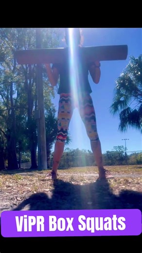 ViPR Box Squats #viprexercise #brainsandbalancelady