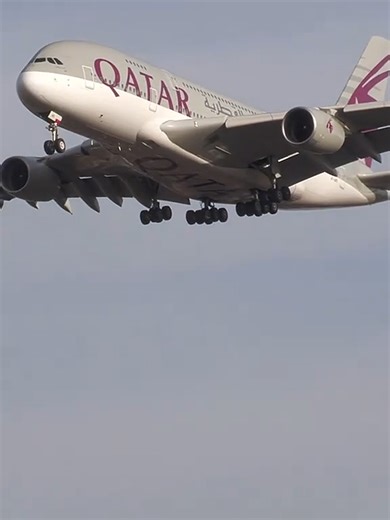 إلا مصدقاتش نعاودو ✨️أسمع مليح👌 #muhajir #سفر #إطاليا🇮🇹فرنسا🇫🇷ألمانيا🇩🇪