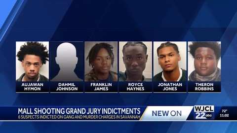 Savannah mall shooting suspects indicted for murder, gang activity