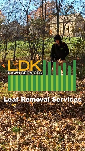 19K views | Avoid the hassle of leaf removal and contact us to clean up your property | LDK Lawn Services | Facebook