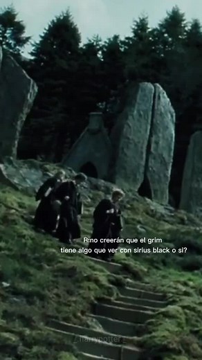 Exploring the Life of Ron Weasley in Harry Potter