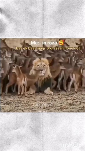 Kis kis Ka Raza ha | beautiful naat | #love #motivationalnaat #bestnaat #beautiful #islamicmusic