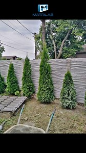 10K views · 68 reactions | La Matrilab, veți găsi o varietate de...