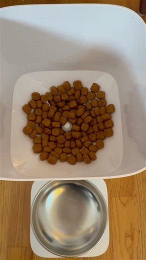 Never Miss a Meal: PetSafe FlexFeed Smart Auto Feeder