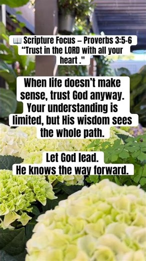 He promises to guide your steps. #Proverbs3 #TrustInTheLord #GodDirectsMyPath #FaithAndWisdom #faith