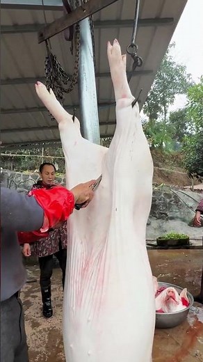 Village Skill: How Whole Pig Process