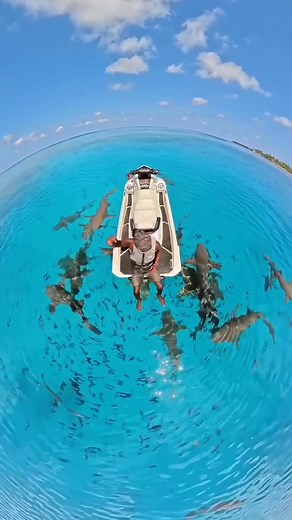 The Yamaha FX Series is built for riders who don’t just chase horizons — they create them. With power that thrills, comfort that carries you farther, and reliability that never quits, the FX turns every ride into a story worth telling. Go explore. Go further. Go Yamaha. #yamahawaverunners #FXSeries #adventure | BUTLER MARINE