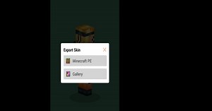 Download and run Skins for Minecraft PE on PC & Mac (Emulator)