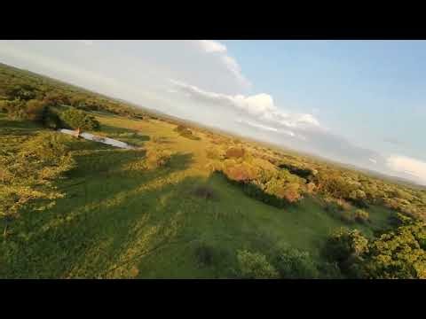 Golden Hour FPV Freestyle Over African Grasslands | Sunset Cinematic Flight 4K