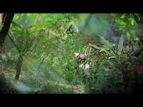 Ernesto Cortazar - Eternity