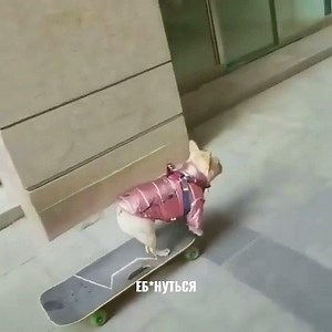 Pista! :D | Radio Flash