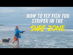 How to Fly Fish For Striper in the Surf Zone