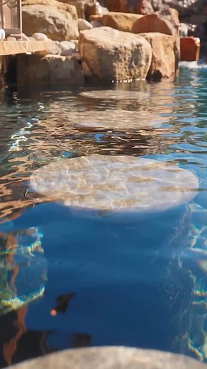 When you choose Western Lehigh Services for your custom concrete swimming pool, you’re choosing a team that handles every step from design to construction. We take your vision and combine it with our expertise to create your very own backyard oasis... crafted entirely in-house. From water features and raised spas to sliding boards and swim-up bars, we bring your dream features to life for a one-of-a-kind pool experience. #WesternLehighServices #PoolBuilderPA #CustomPoolDesign #ConcretePools #Bac