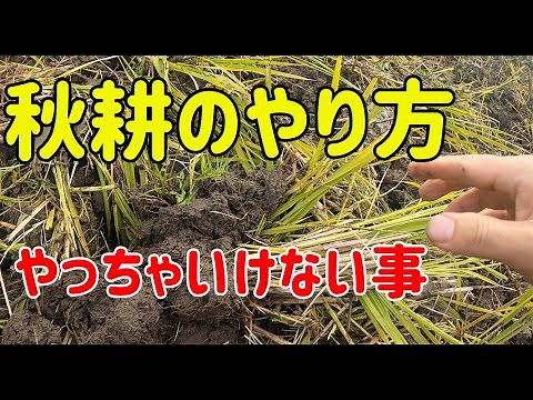 How to do autumn plowing and things you should not do [Rice fields] [Autumn plowing] [Rotary]