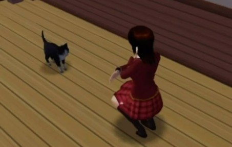 cat breakdancing but its only the girl